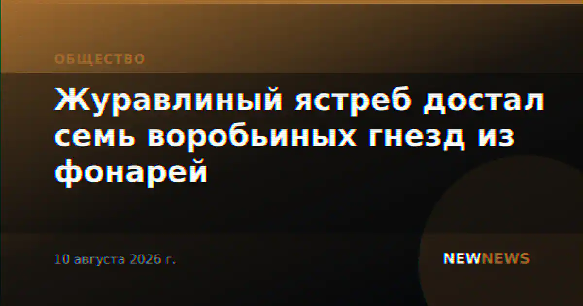 Журавлиный ястреб достал семь воробьиных гнезд из фонарей