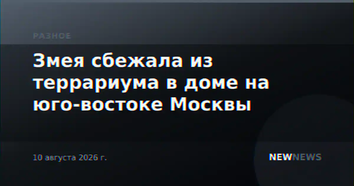 Змея сбежала из террариума в доме на юго-востоке Москвы