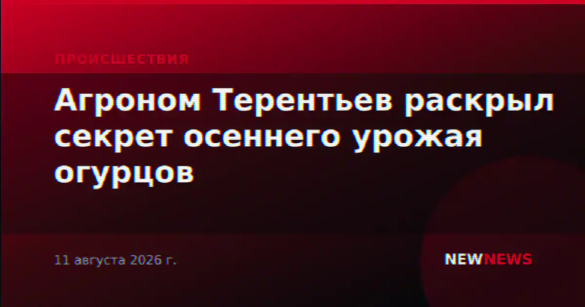 Агроном Терентьев раскрыл секрет осеннего урожая огурцов