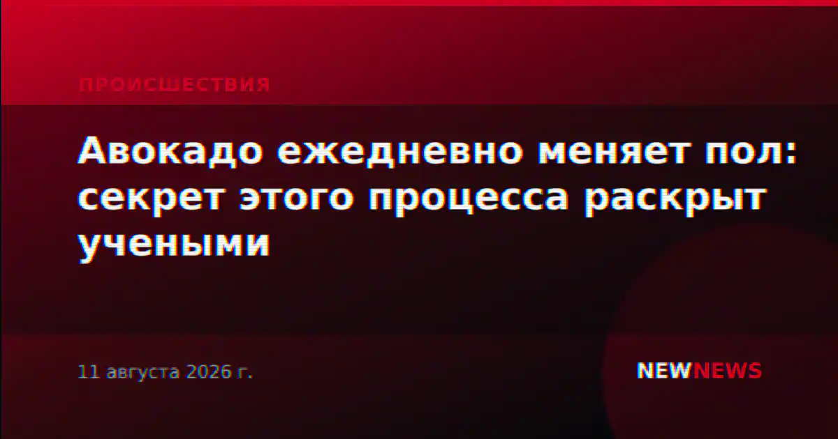 Авокадо ежедневно меняет пол: секрет этого процесса раскрыт учеными