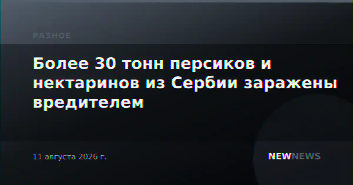Более 30 тонн персиков и нектаринов из Сербии заражены вредителем