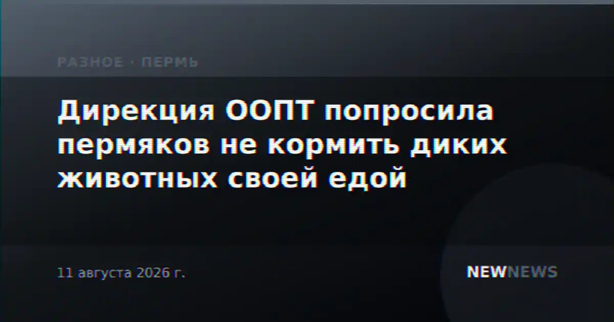 Дирекция ООПТ попросила пермяков не кормить диких животных своей едой