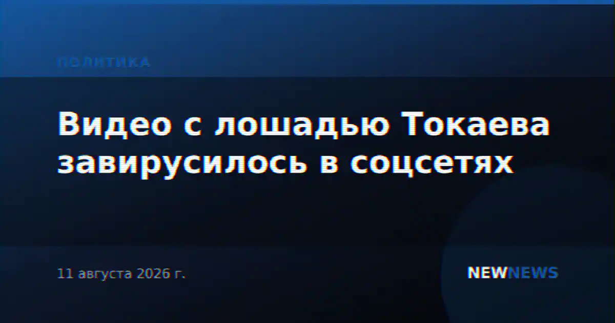 Видео с лошадью Токаева завирусилось в соцсетях