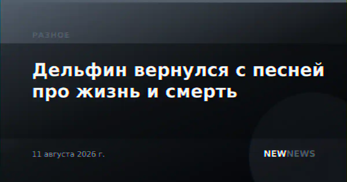 Дельфин вернулся с песней про жизнь и смерть