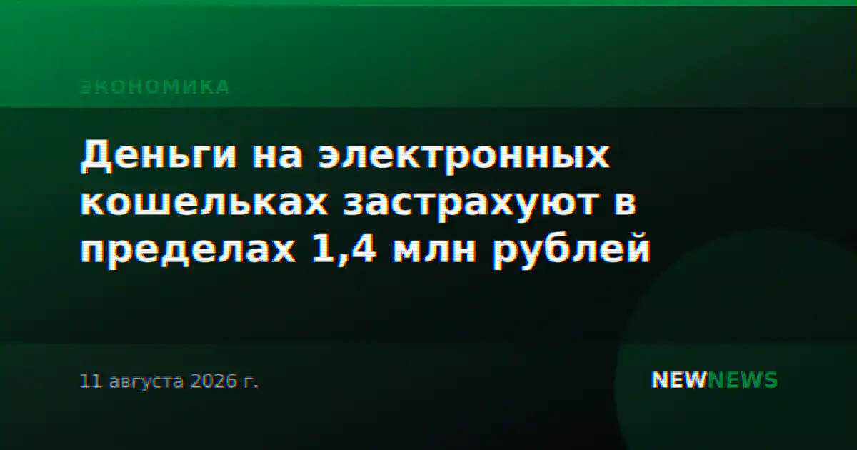 Деньги на электронных кошельках застрахуют в пределах 1,4 млн рублей
