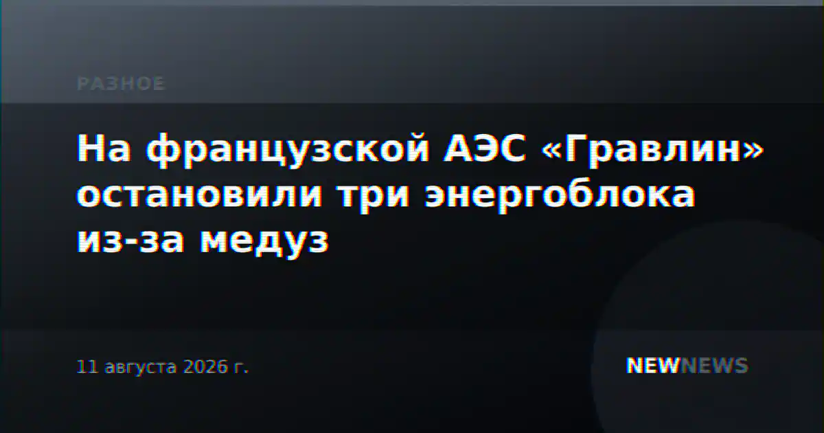 На французской АЭС «Гравлин» остановили три энергоблока из-за медуз