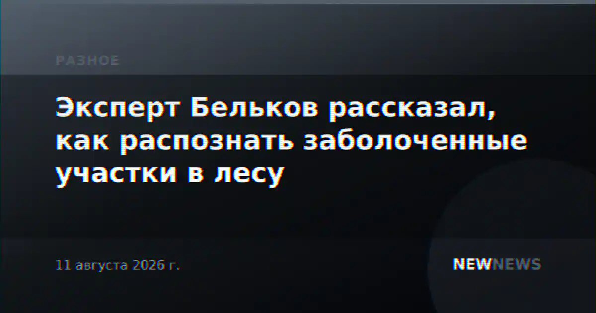 Эксперт Бельков рассказал, как распознать заболоченные участки в лесу