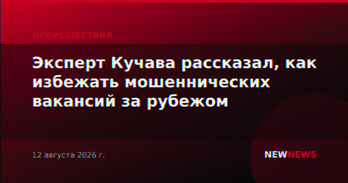 Эксперт Кучава рассказал, как избежать мошеннических вакансий за рубежом
