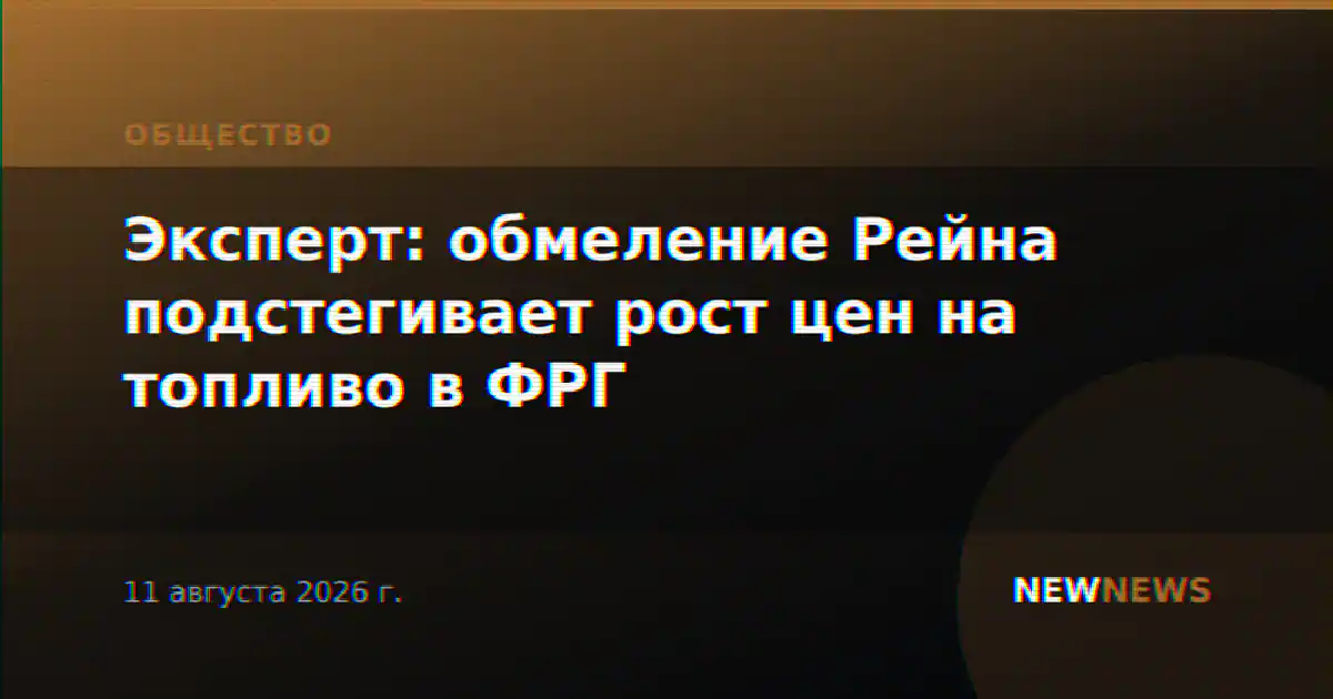 Эксперт: обмеление Рейна подстегивает рост цен на топливо в ФРГ