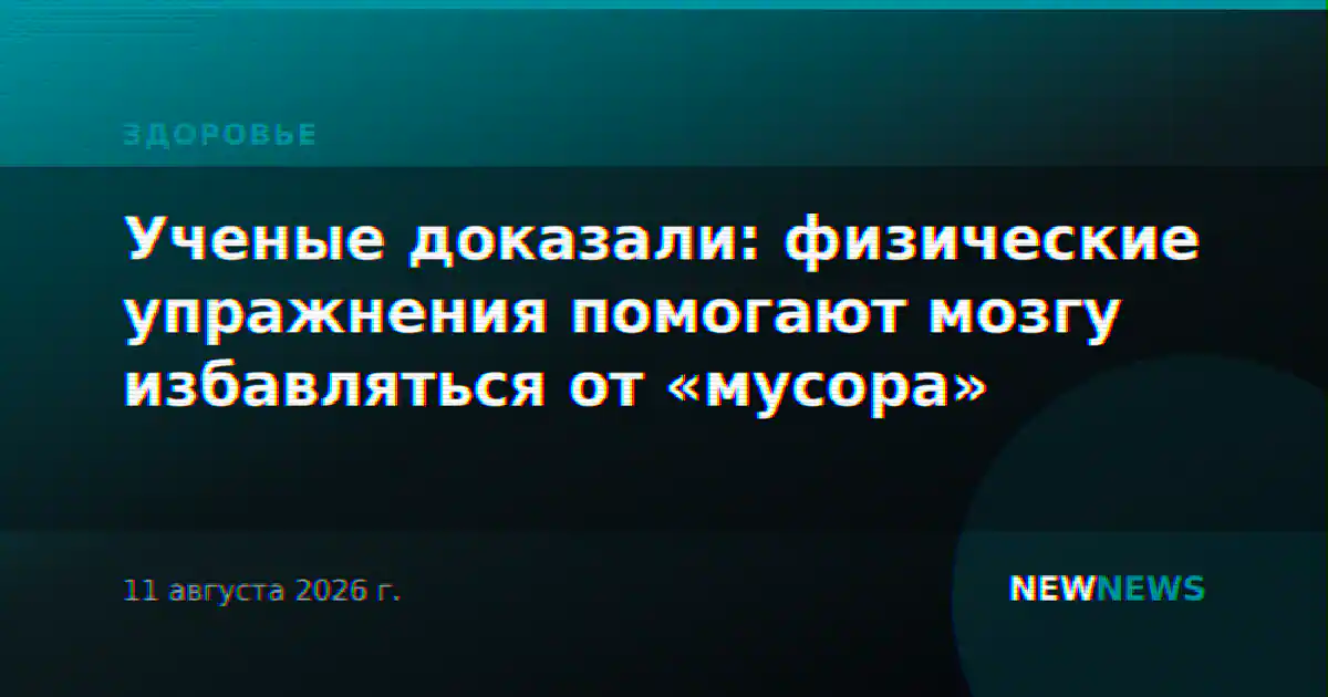 Ученые доказали: физические упражнения помогают мозгу избавляться от «мусора»