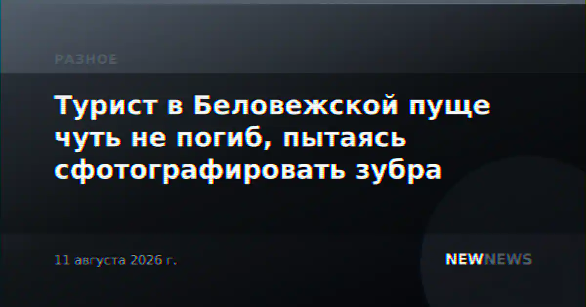 Турист в Беловежской пуще чуть не погиб, пытаясь сфотографировать зубра