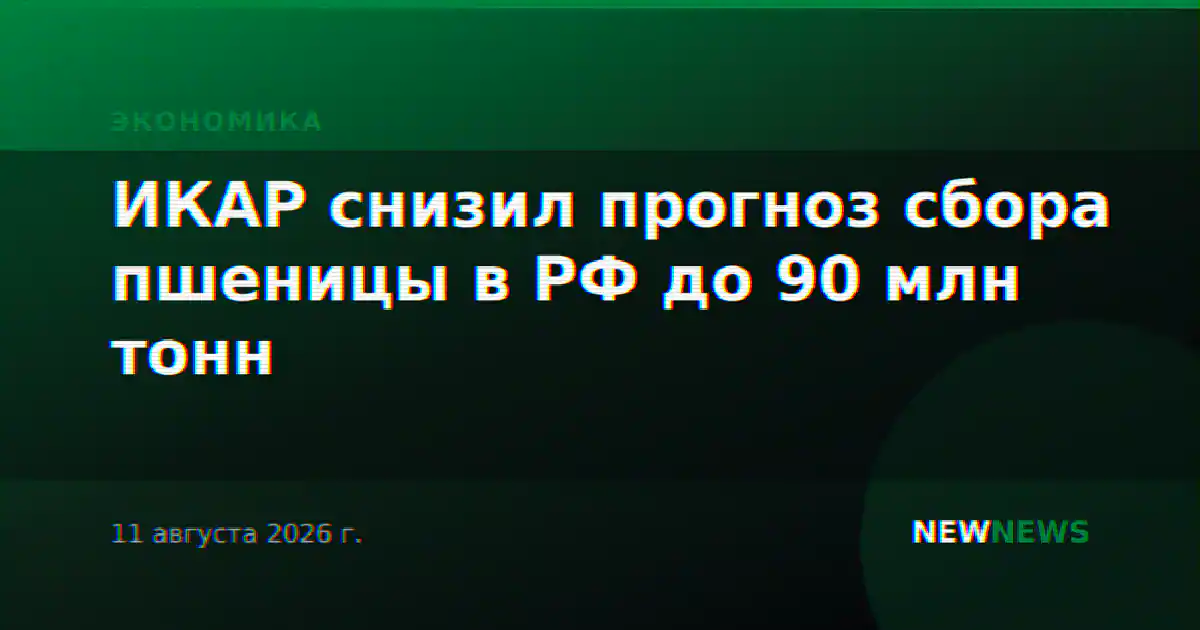 ИКАР снизил прогноз сбора пшеницы в РФ до 90 млн тонн