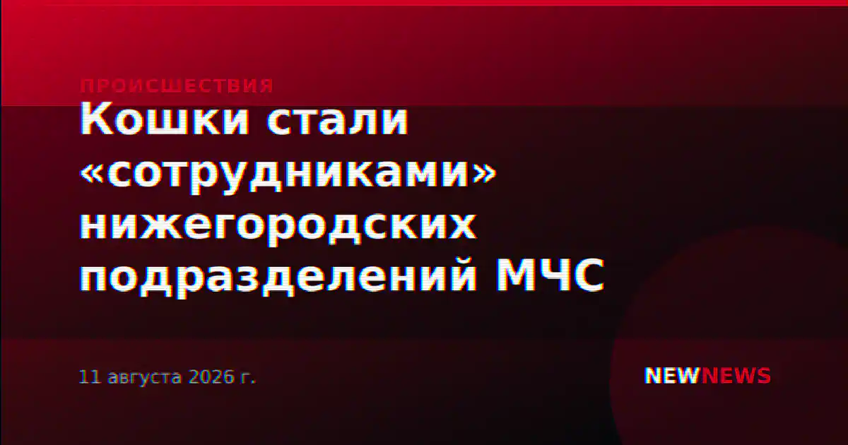 Кошки стали «сотрудниками» нижегородских подразделений МЧС
