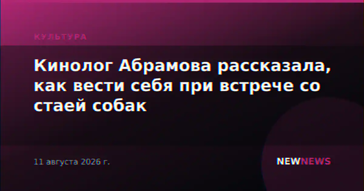 Кинолог Абрамова рассказала, как вести себя при встрече со стаей собак