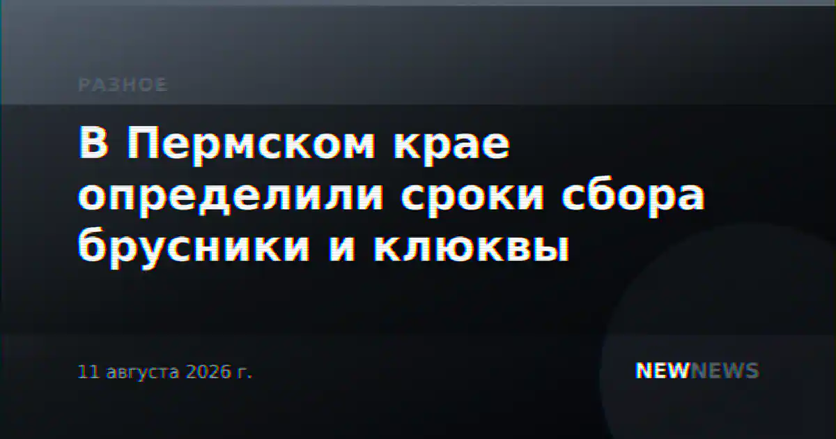 В Пермском крае определили сроки сбора брусники и клюквы