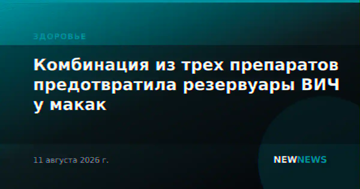 Комбинация из трех препаратов предотвратила резервуары ВИЧ у макак