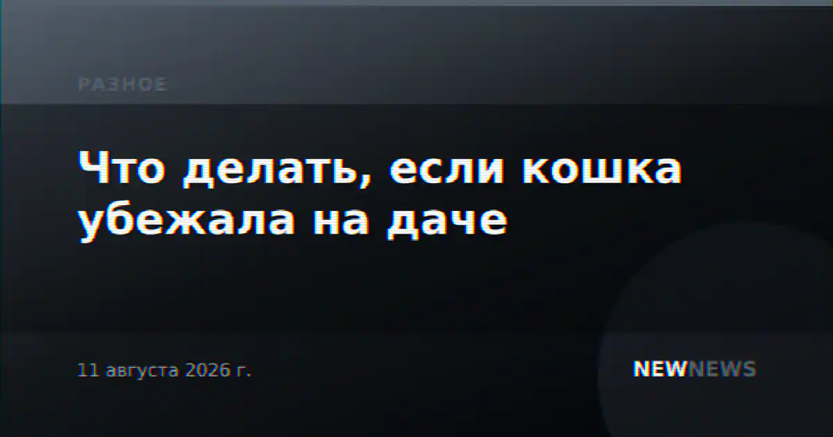 Что делать, если кошка убежала на даче