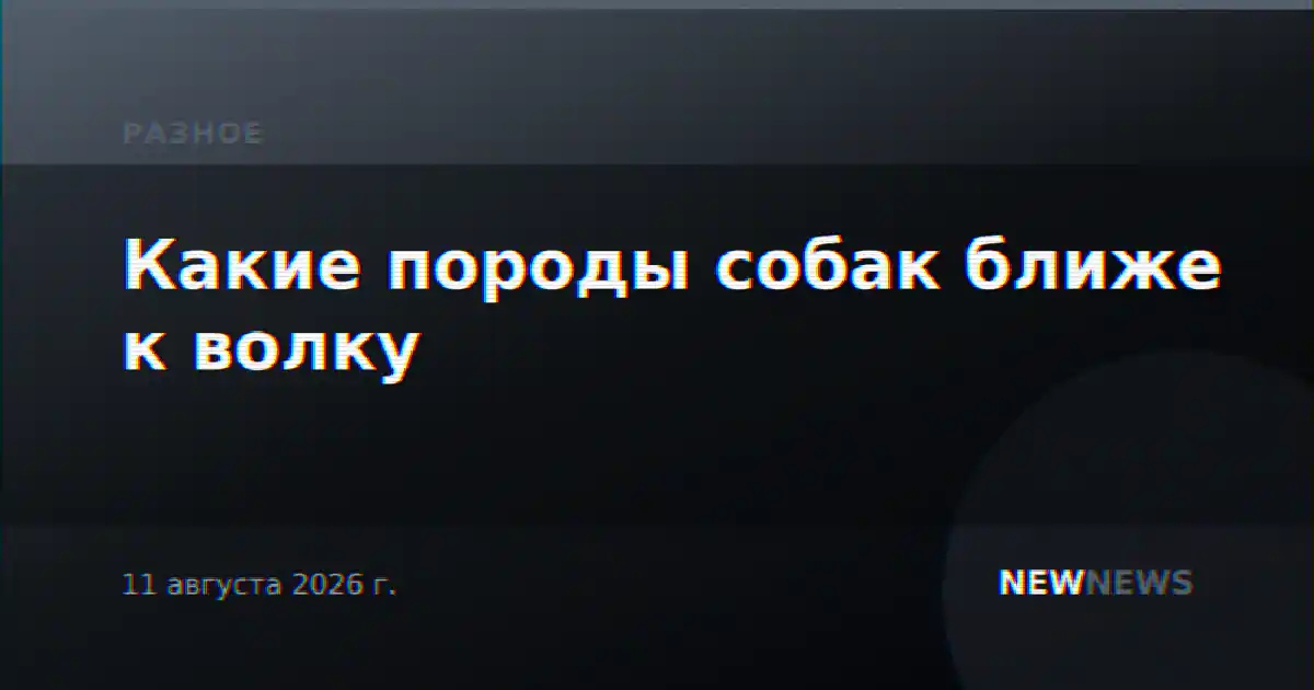 Какие породы собак ближе к волку