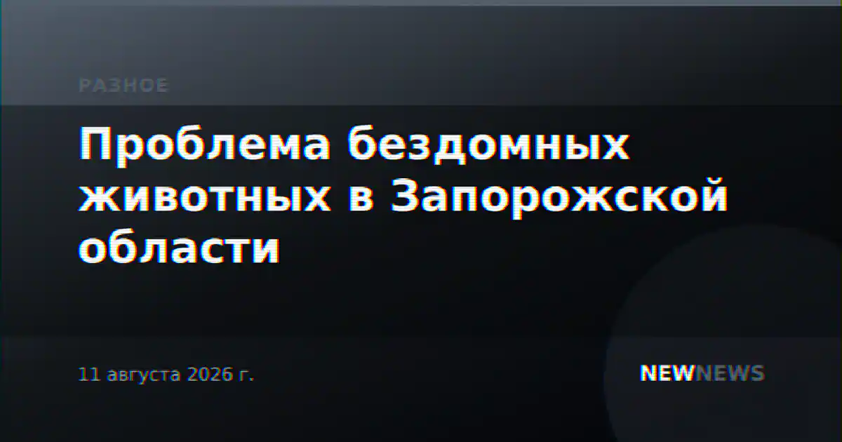 Проблема бездомных животных в Запорожской области