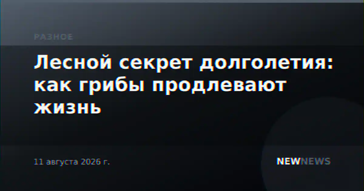 Лесной секрет долголетия: как грибы продлевают жизнь