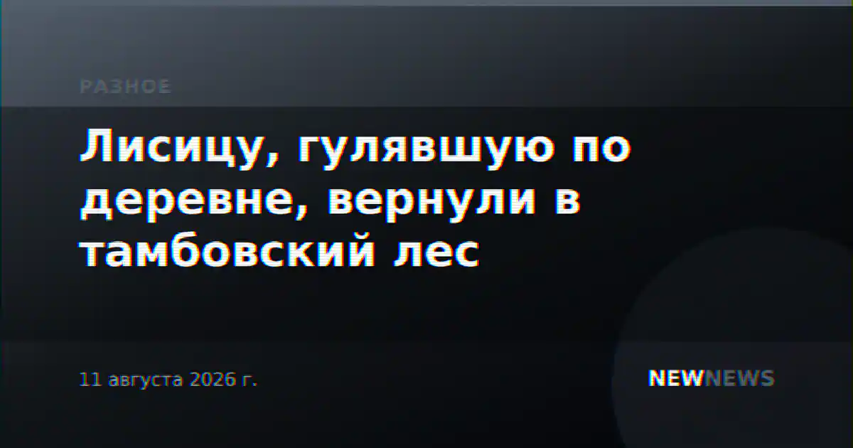 Лисицу, гулявшую по деревне, вернули в тамбовский лес