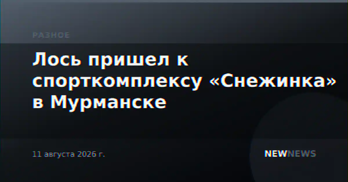 Лось пришел к спорткомплексу «Снежинка» в Мурманске