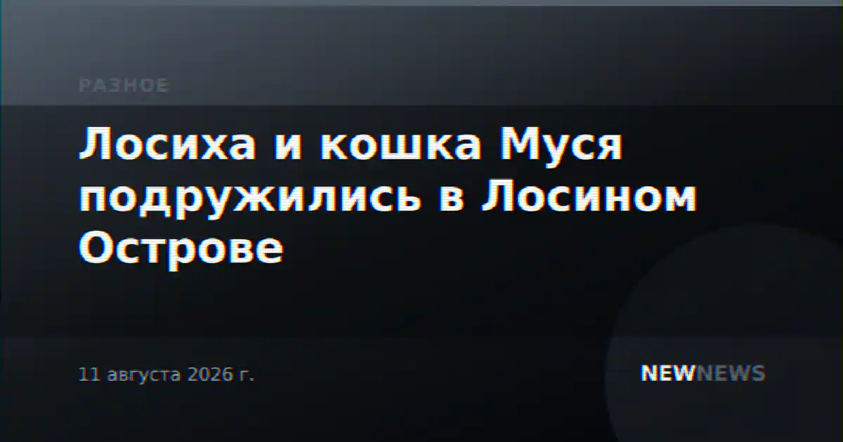 Лосиха и кошка Муся подружились в Лосином Острове
