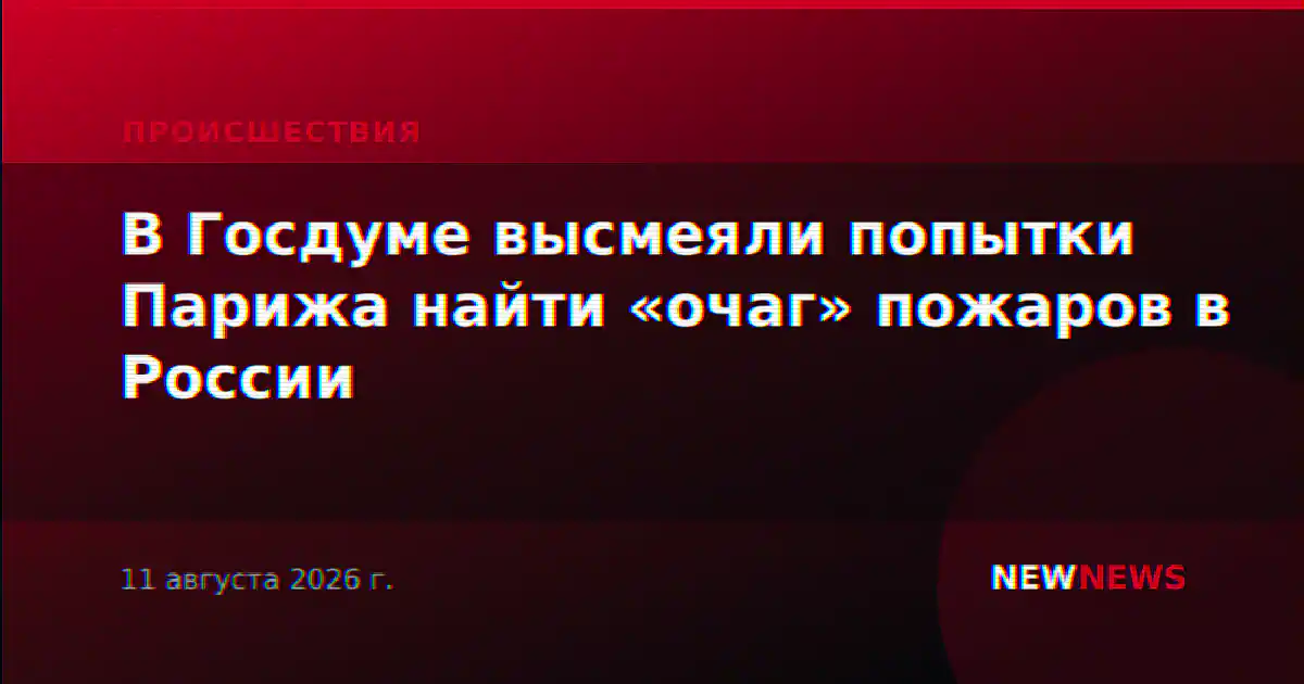 В Госдуме высмеяли попытки Парижа найти «очаг» пожаров в России