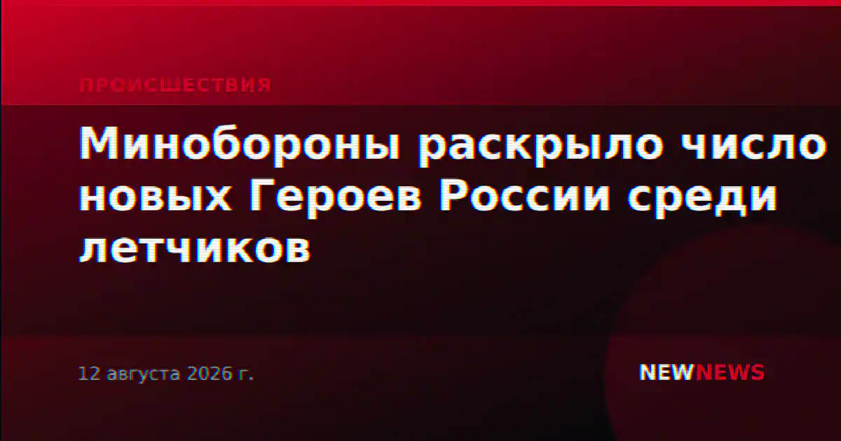 Минобороны раскрыло число новых Героев России среди летчиков