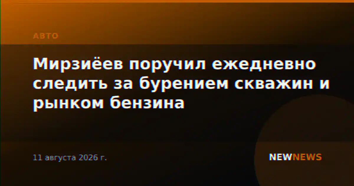 Мирзиёев поручил ежедневно следить за бурением скважин и рынком бензина