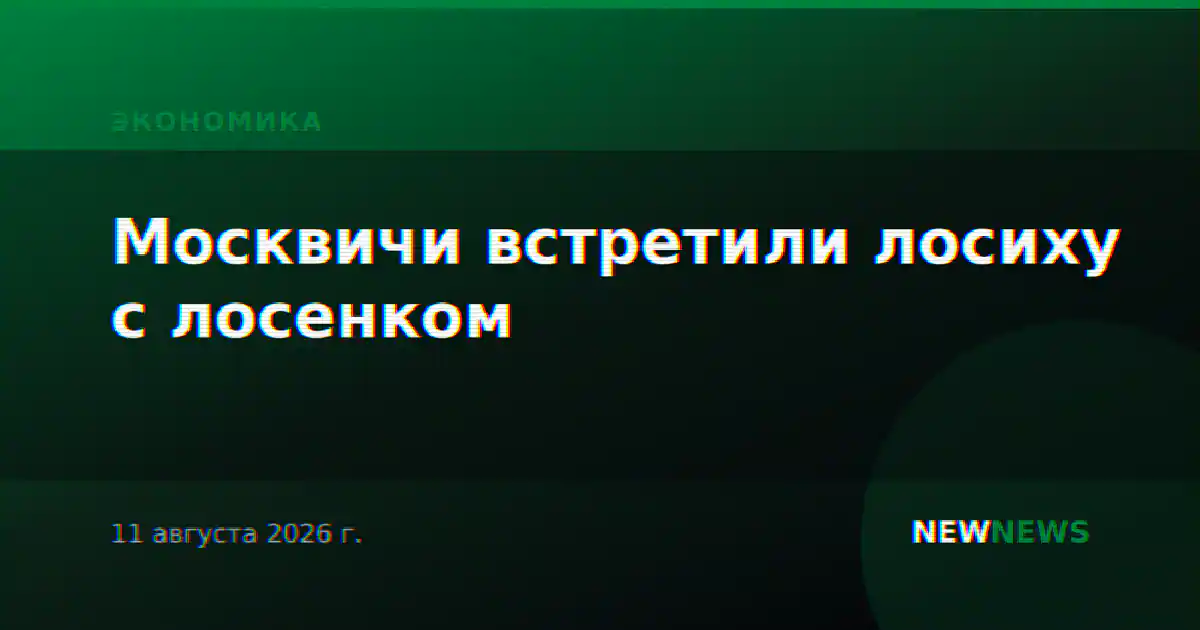 Москвичи встретили лосиху с лосенком