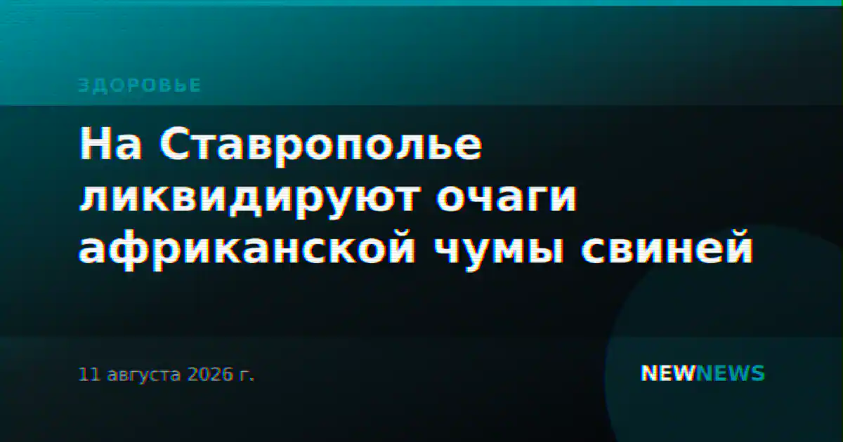 На Ставрополье ликвидируют очаги африканской чумы свиней