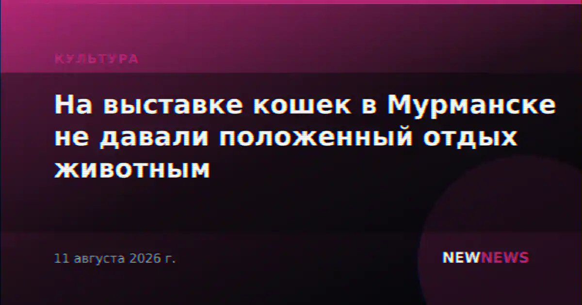 На выставке кошек в Мурманске не давали положенный отдых животным