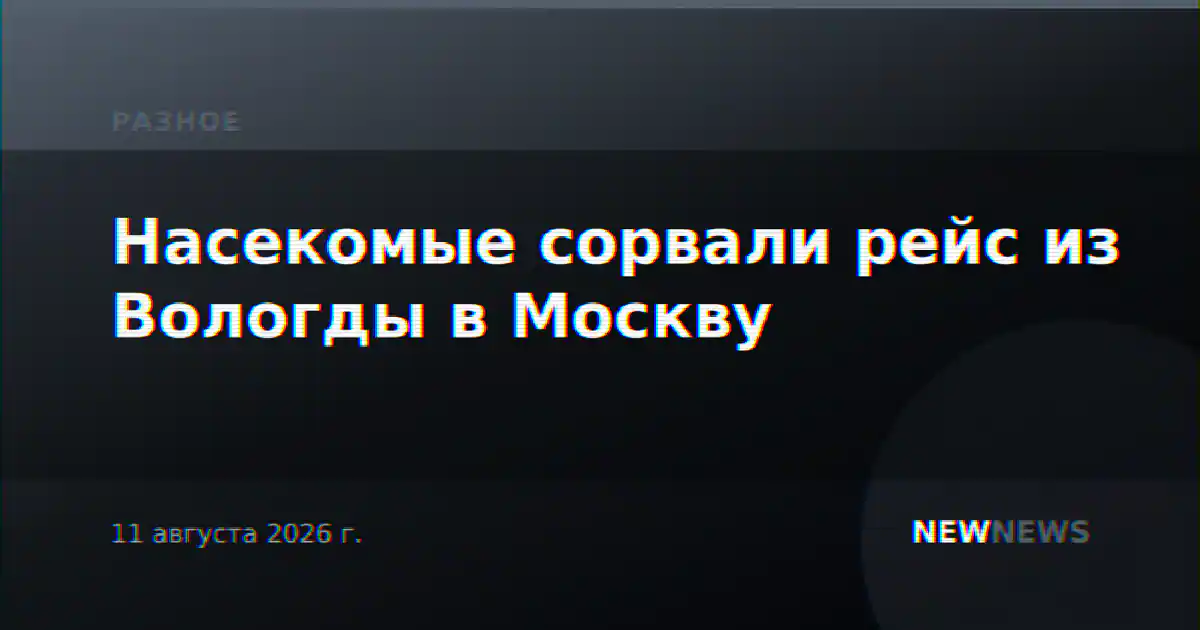 Насекомые сорвали рейс из Вологды в Москву