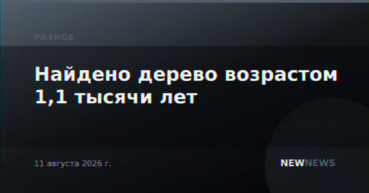 Найдено дерево возрастом 1,1 тысячи лет