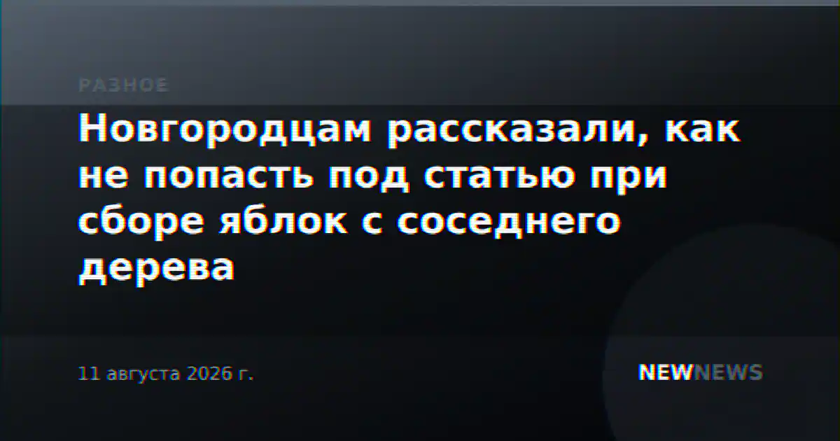 Новгородцам рассказали, как не попасть под статью при сборе яблок с соседнего дерева