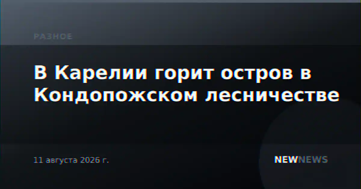В Карелии горит остров в Кондопожском лесничестве