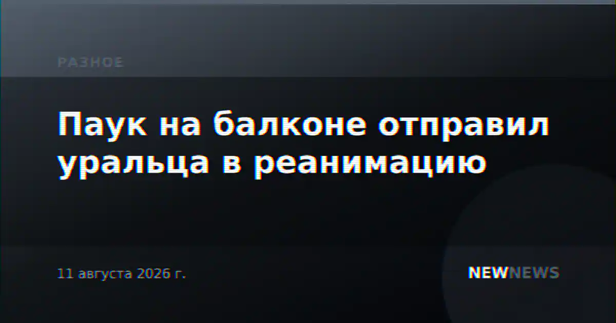 Паук на балконе отправил уральца в реанимацию
