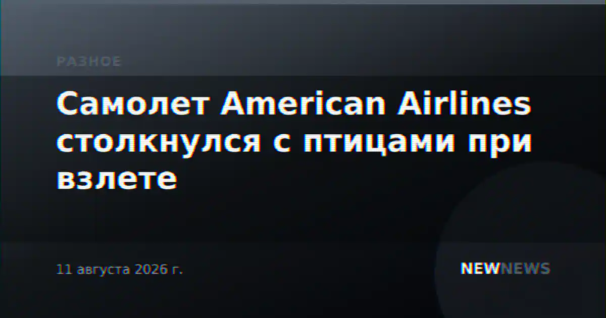 Самолет American Airlines столкнулся с птицами при взлете