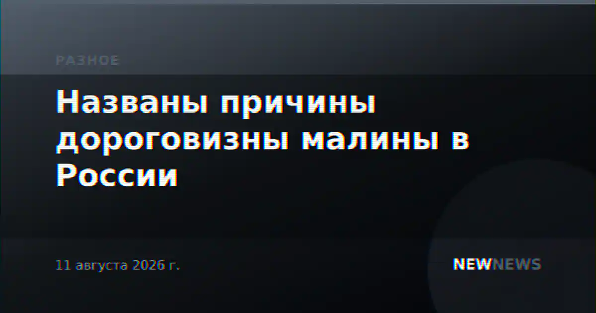 Названы причины дороговизны малины в России