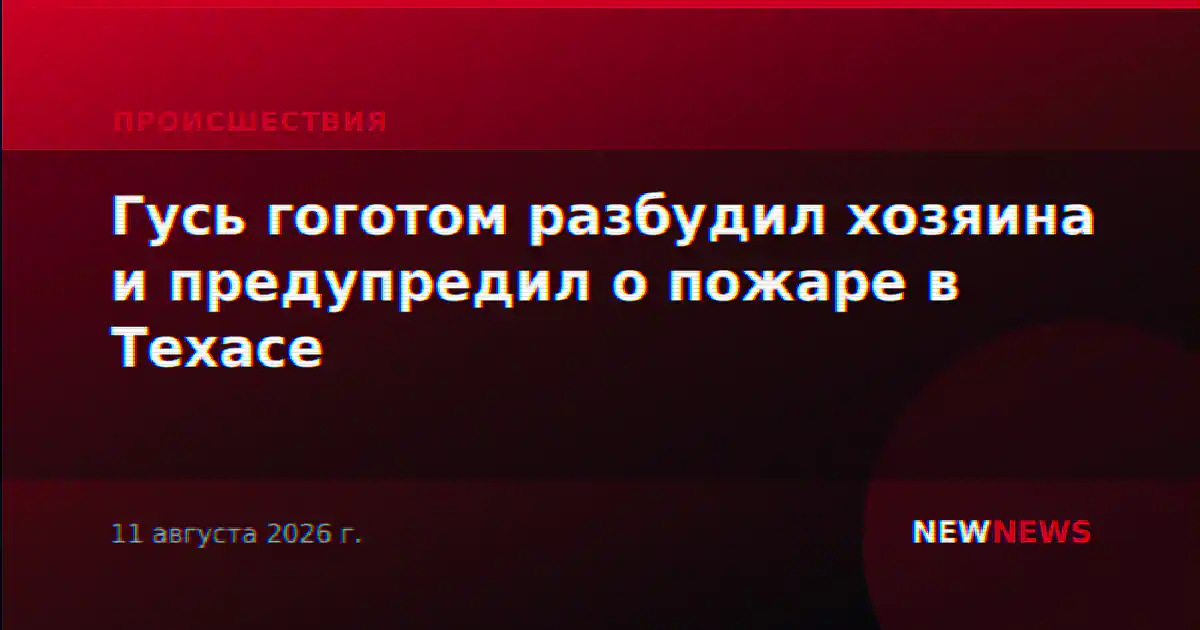 Гусь гоготом разбудил хозяина и предупредил о пожаре в Техасе