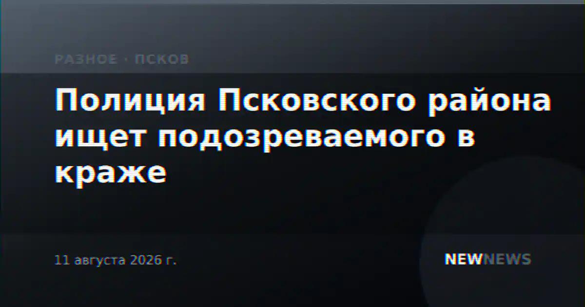 Полиция Псковского района ищет подозреваемого в краже
