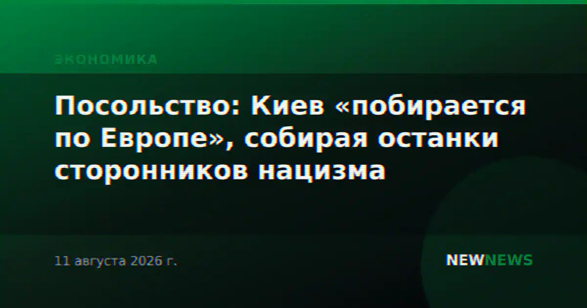 Посольство: Киев «побирается по Европе», собирая останки сторонников нацизма