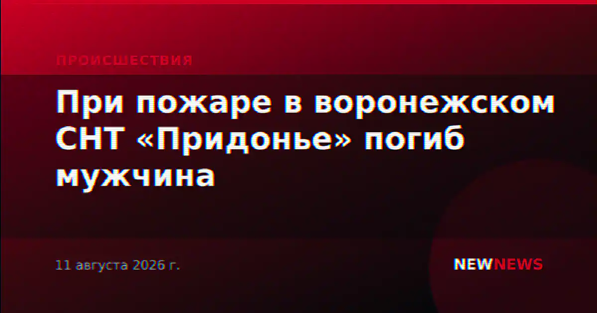 При пожаре в воронежском СНТ «Придонье» погиб мужчина
