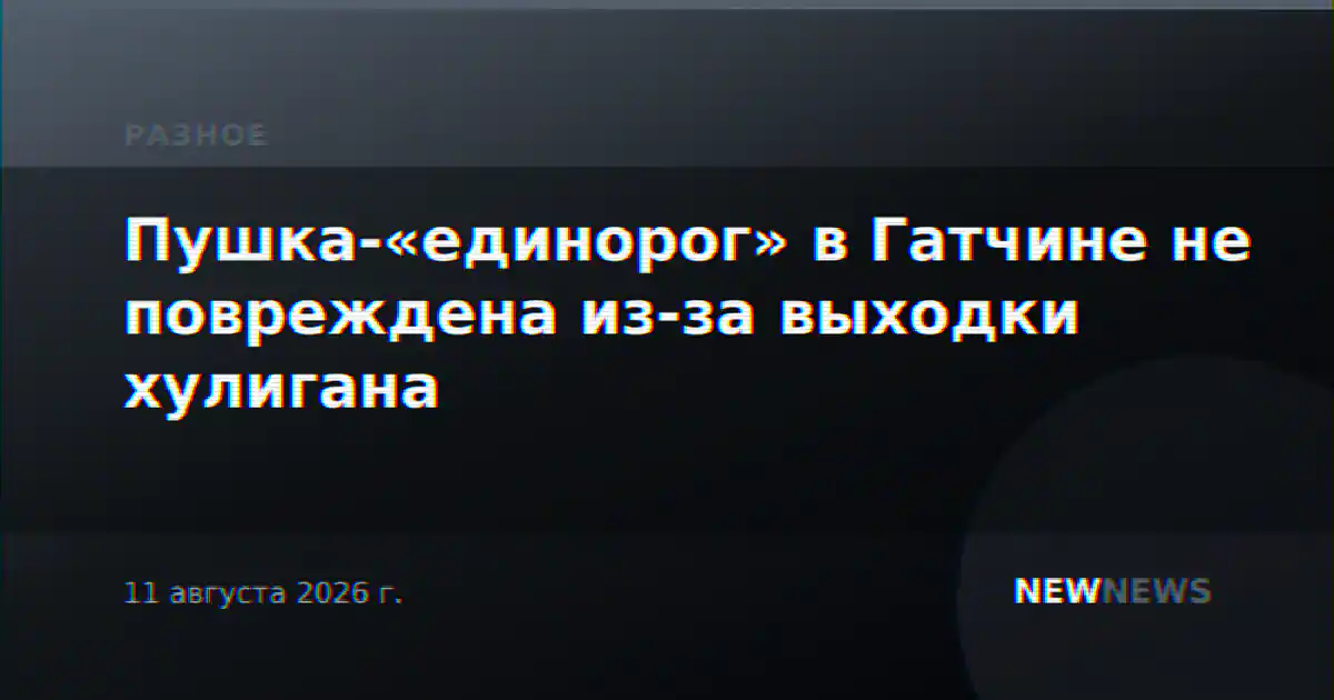 Пушка-«единорог» в Гатчине не повреждена из-за выходки хулигана