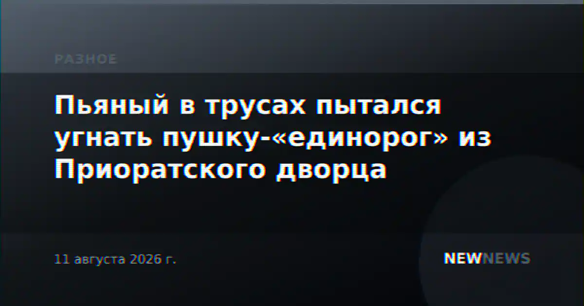 Пьяный в трусах пытался угнать пушку-«единорог» из Приоратского дворца