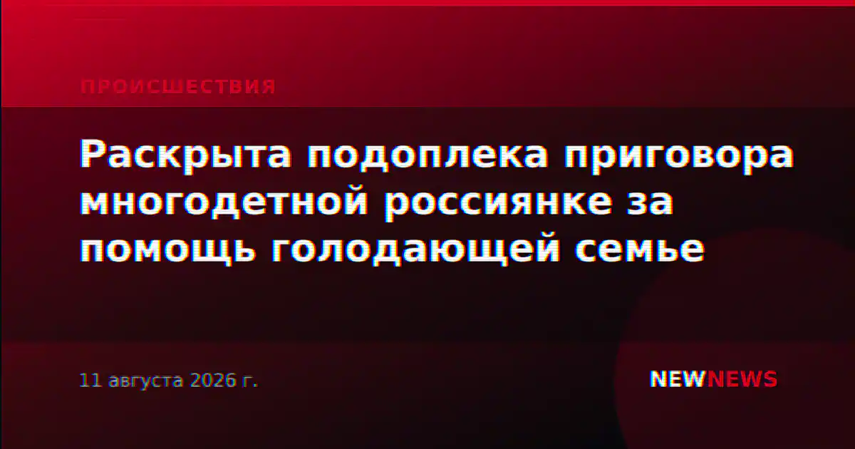 Раскрыта подоплека приговора многодетной россиянке за помощь голодающей семье