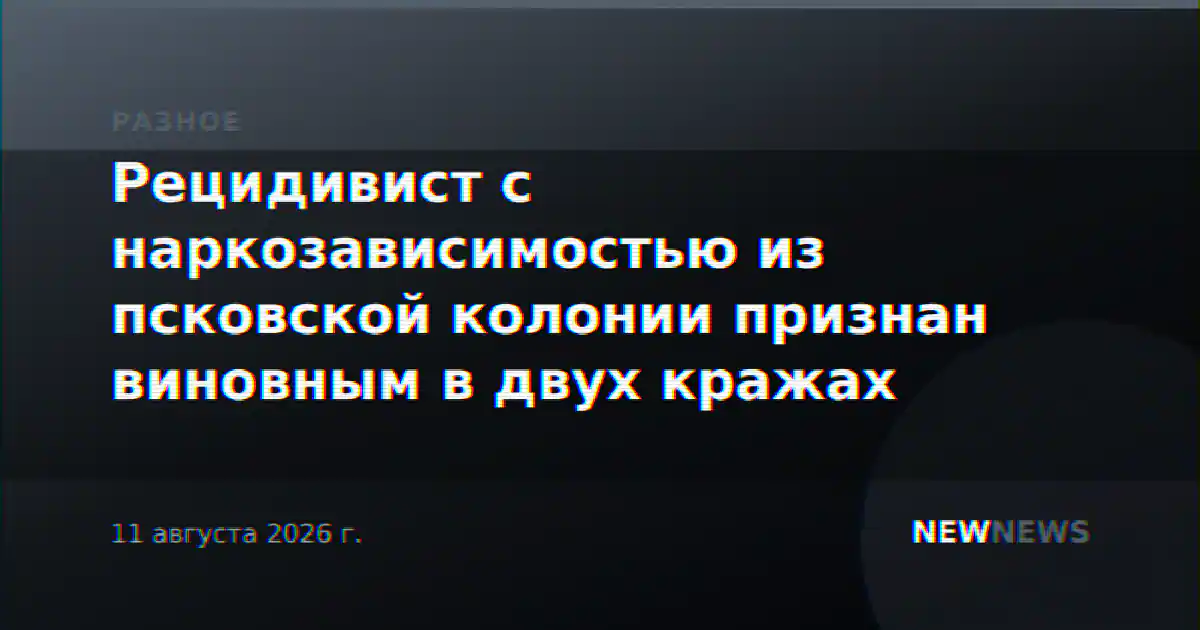 Рецидивист с наркозависимостью из псковской колонии признан виновным в двух кражах