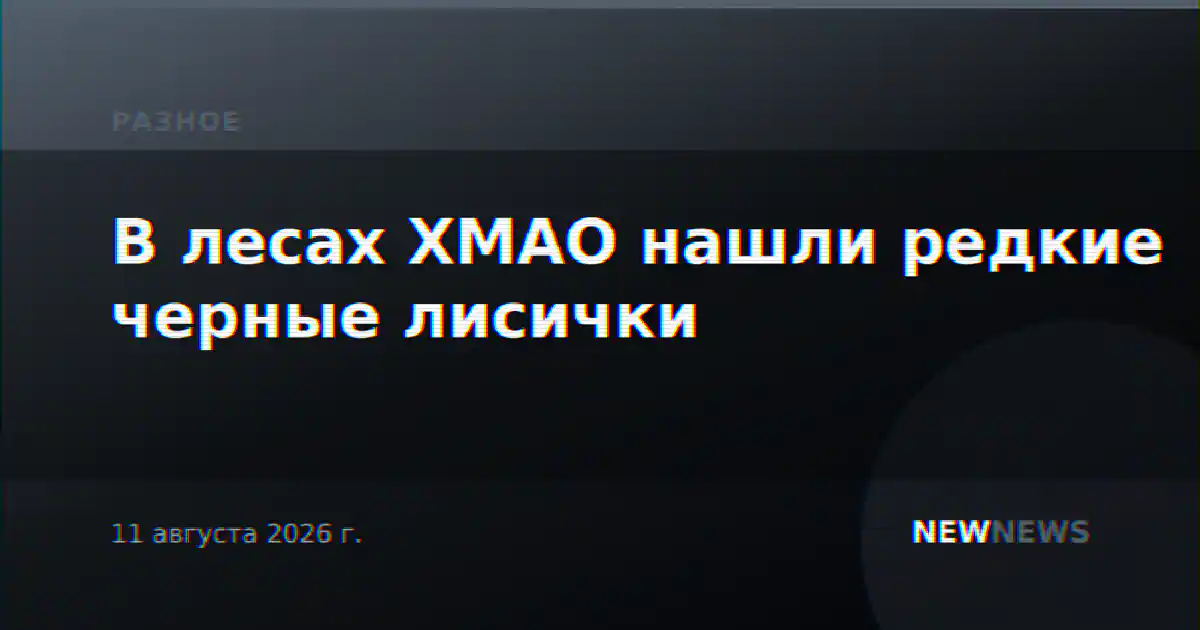 В лесах ХМАО нашли редкие черные лисички