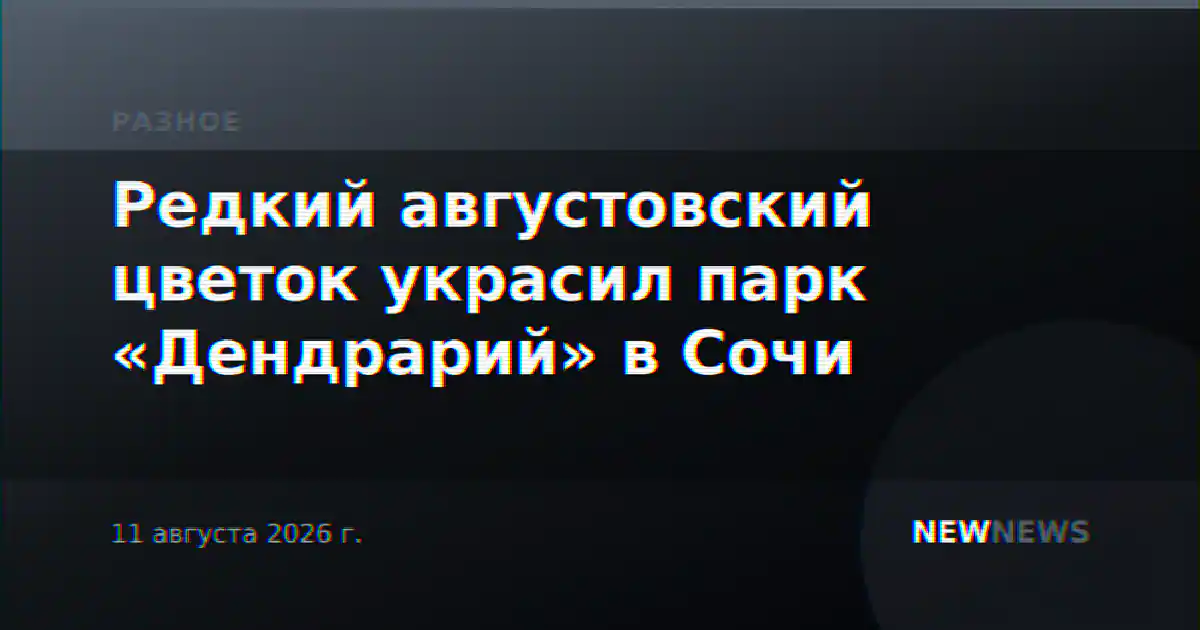 Редкий августовский цветок украсил парк «Дендрарий» в Сочи